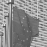 Here is the thumbnail for our coverage of the EU DSA laws, showing an office building with EU flags outside, to highlight how new digital risk scoring rules will change the course of ecommerce.