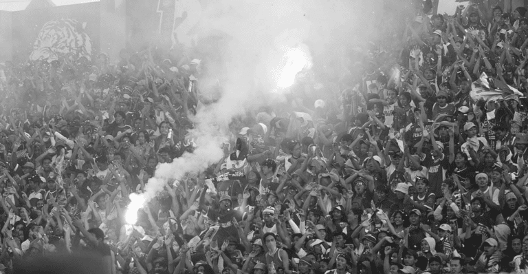 This image of football ultras at a stadium highlights the topic of this blog: online protection in football and beyond.
