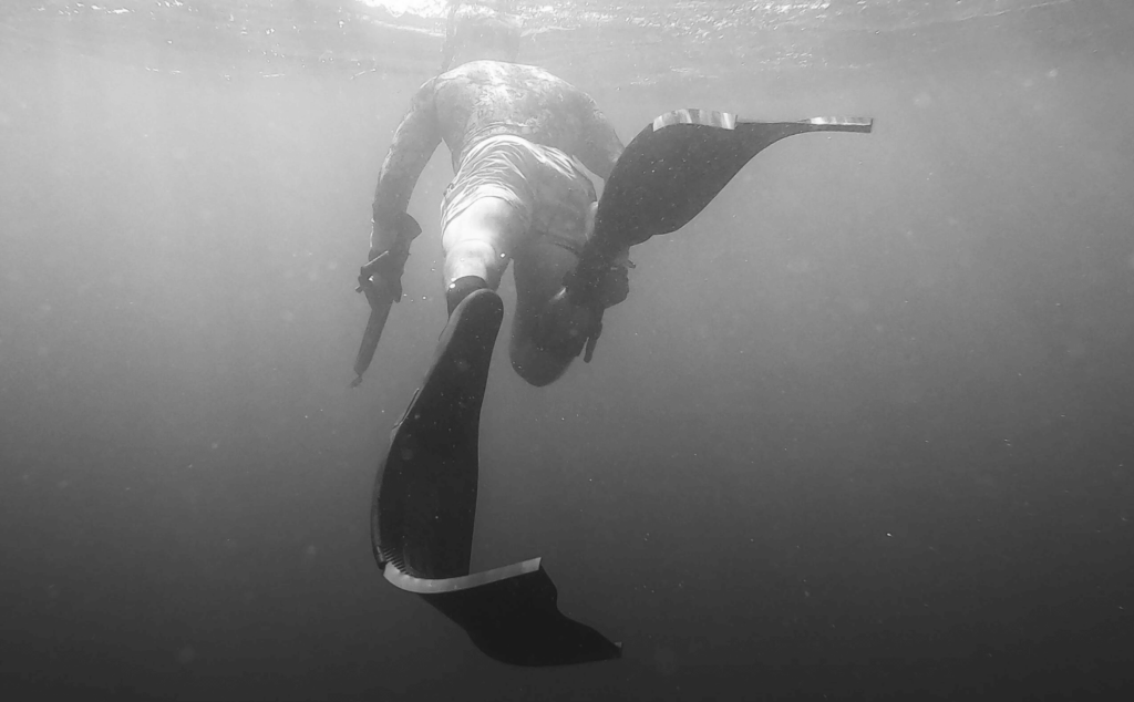 This image of a diver with a fishing spear highlights this post's topic: phishing.