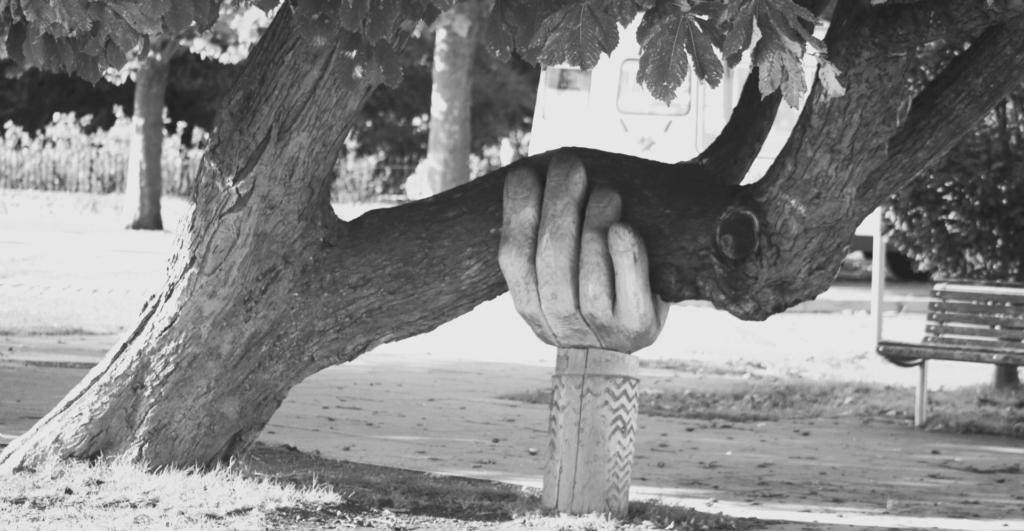 This image of a hand supporting a growing tree branch illustrates Elena's contributions to our new gTLD series, covering ICANN's upcoming Applicants Handbook.