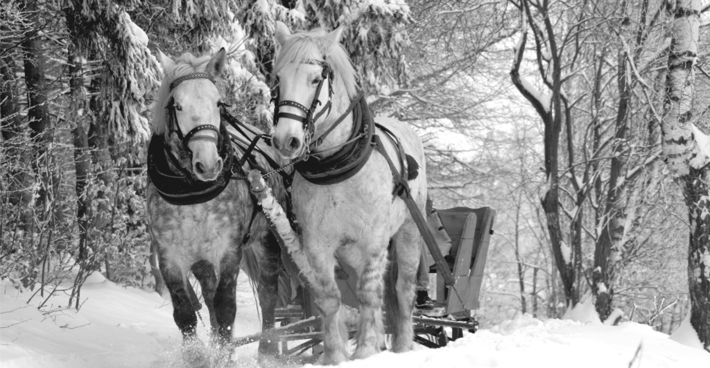 This image of horses pulling a sleigh through the snow globes highlights the Polish seasonal Christmas tradition of Kulig, underscoring our discussion topic: How different cultures around the world celebrate the festive winter season.