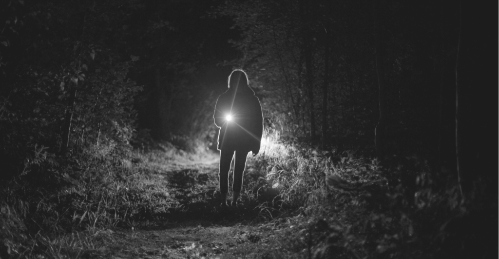 This image of a silhouetted figure shining a torch (flashlight) in the woods at night highlights our discussion topic: Stealer logs, and how organizations take a proactive stance against cybercriminals and malware attacks.