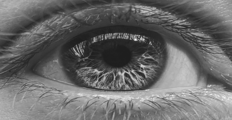 This image of a close-up human eye illustrates our discussion topic: AI, the practical applications for brand protection, and EBRAND's new DeepVision tools.