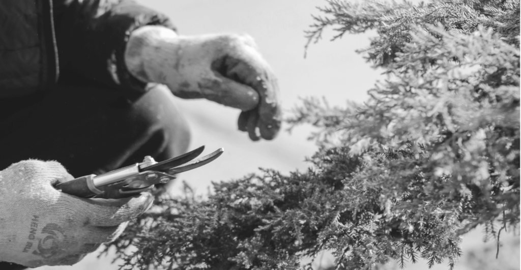 This image of a gardener highlights the importance of domain portfolio management for growing businesses.