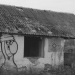 This image of a derelict house covered in graffitti illustrates our discussion topic: Domain squatting, its impact, and anti-squatting solutions for organizations and individuals.