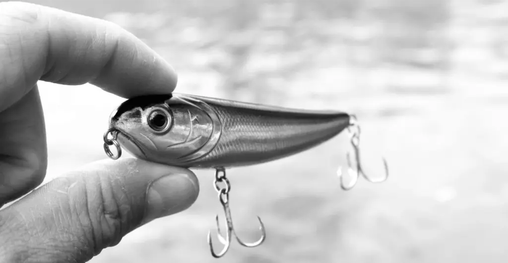 This image of a fishing lure illustrates our discussion topic about phishing as a service.